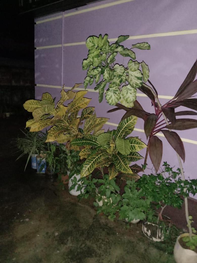 Vian Homestay Honavar Exterior photo